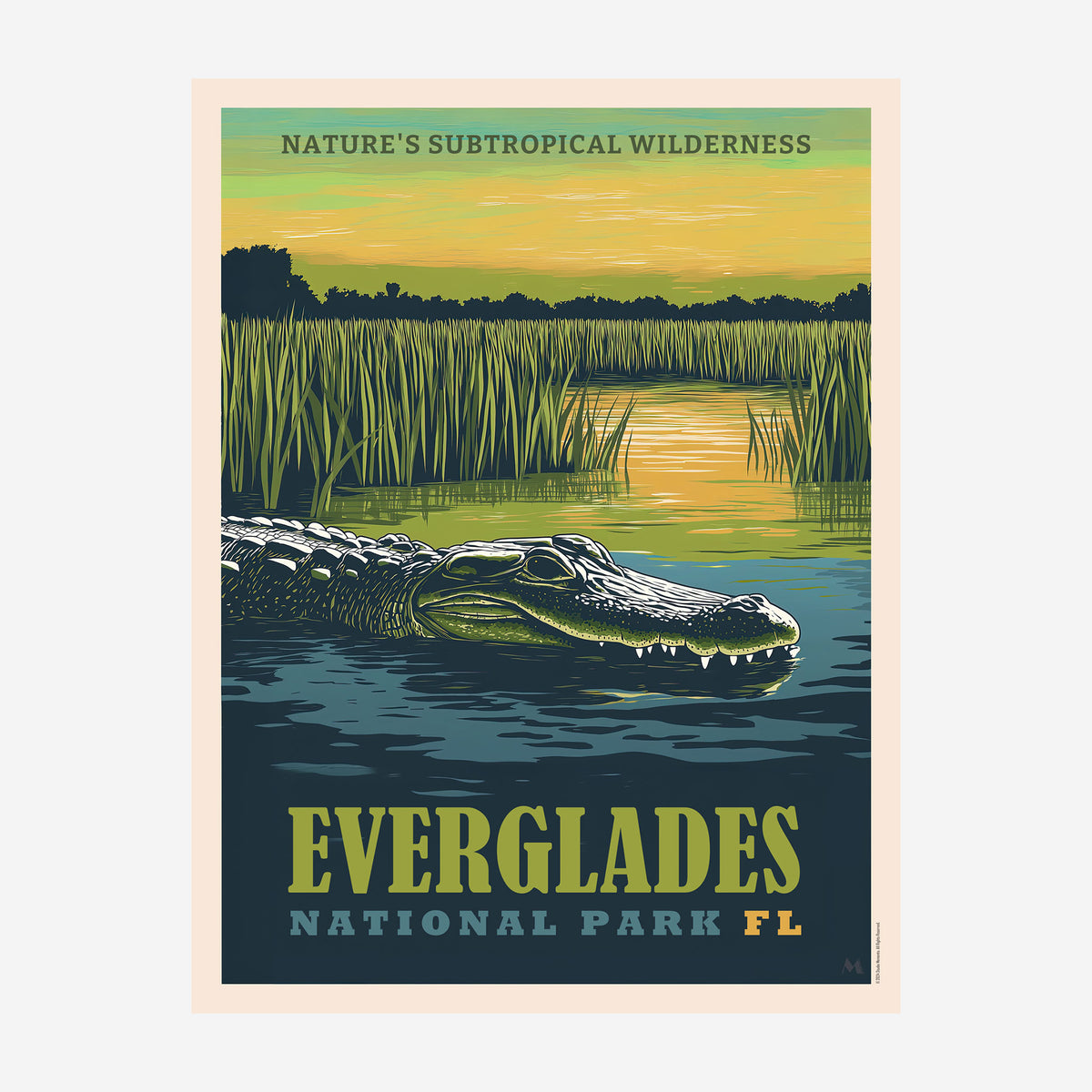 Everglades National Park - Art Print