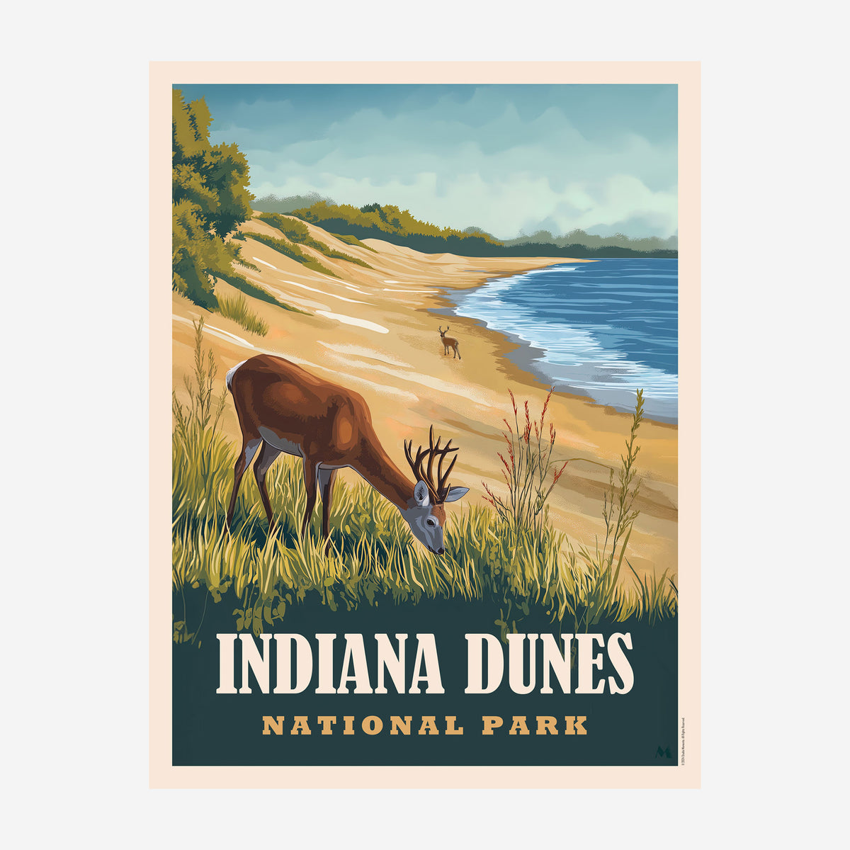 Indiana Dunes National Park - Art Print