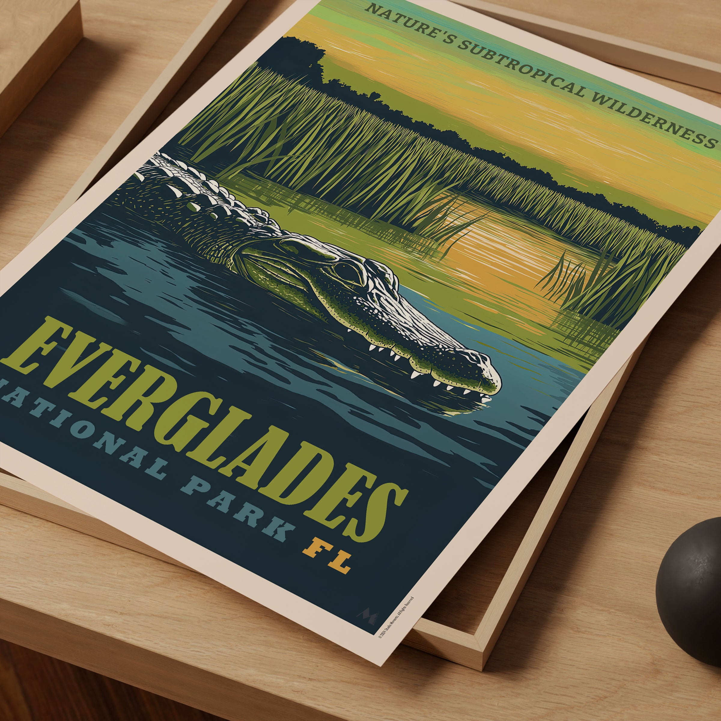 Everglades National Park - Art Print