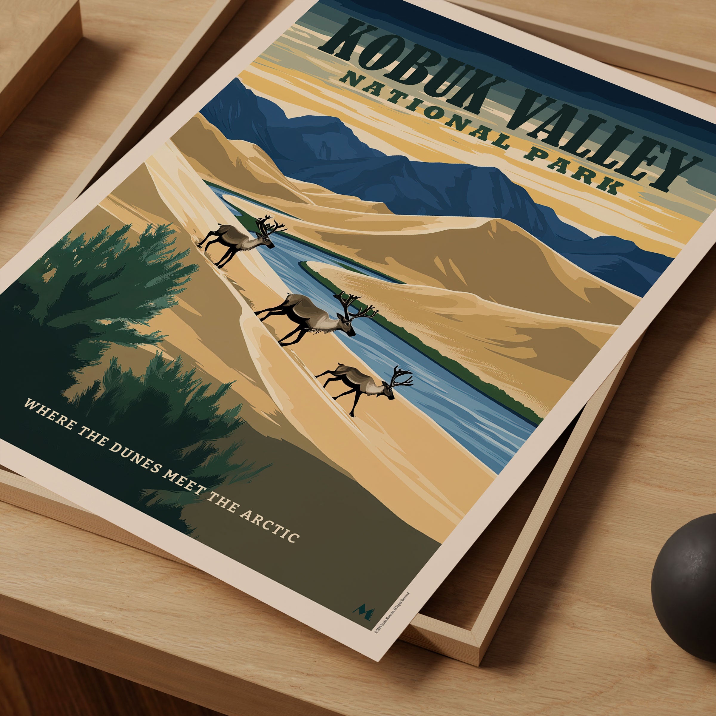 Kobuk Valley National Park - Art Print