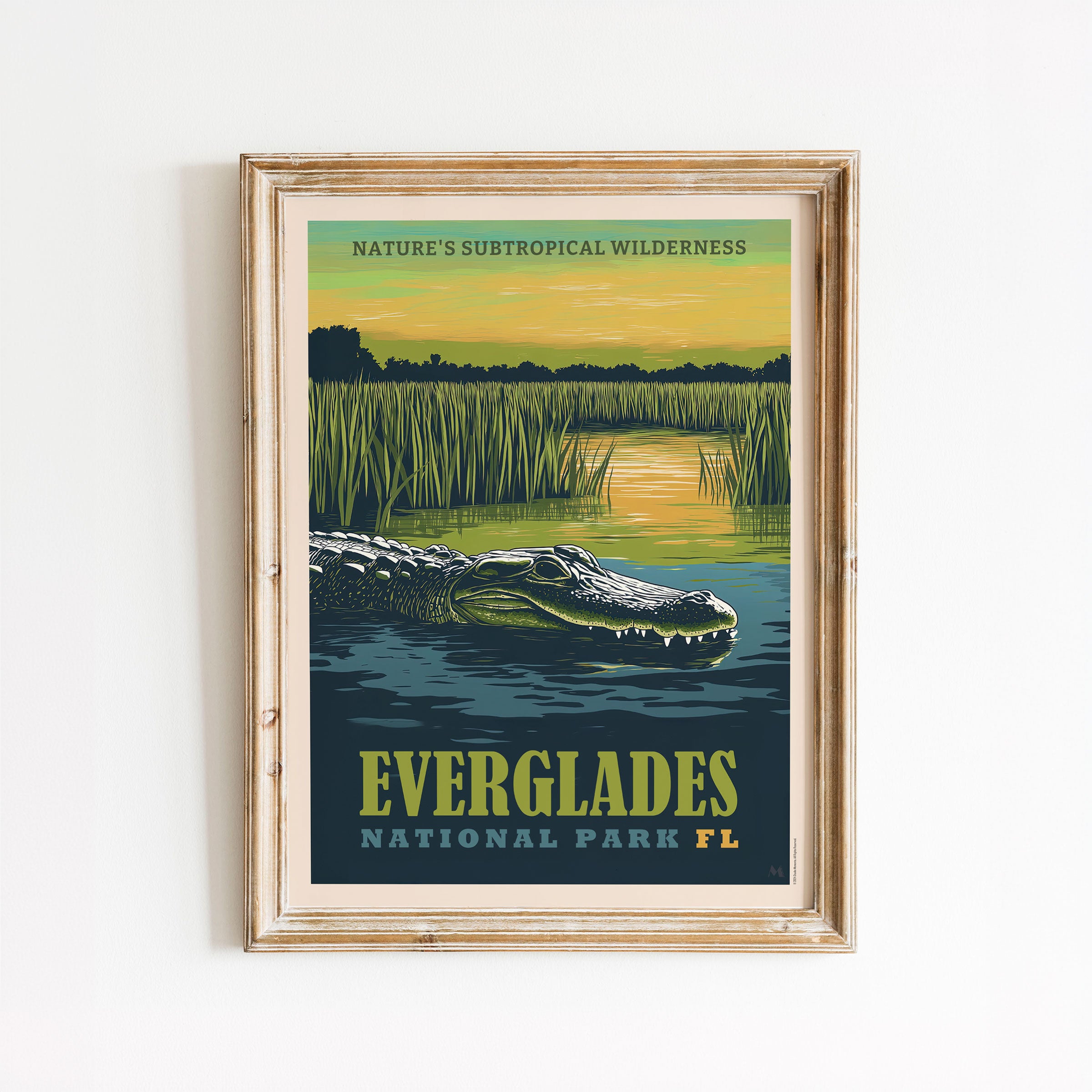 Everglades National Park - Art Print