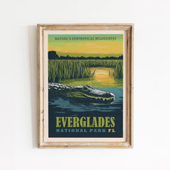 Everglades National Park - Art Print