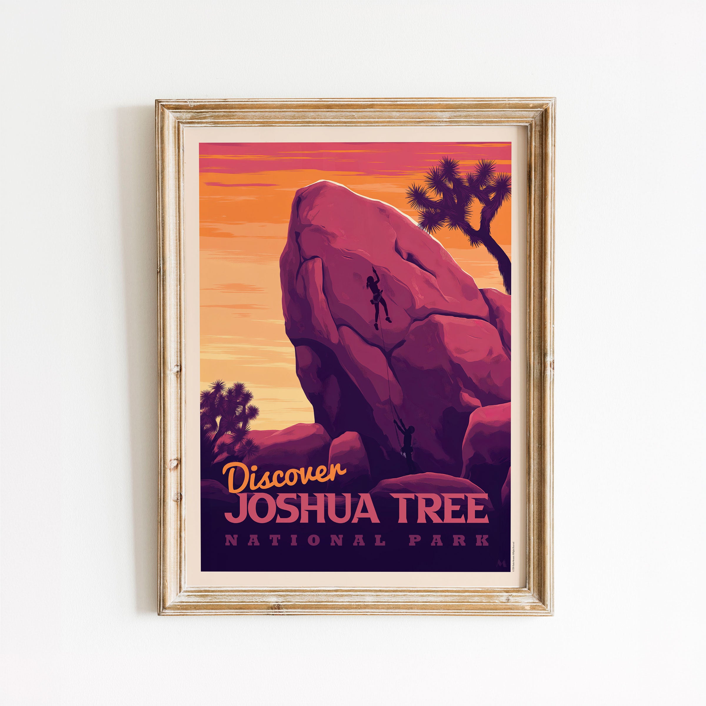 Joshua Tree National Park - Art Print